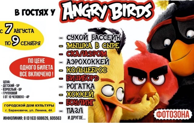 В гостях у Angry Birds